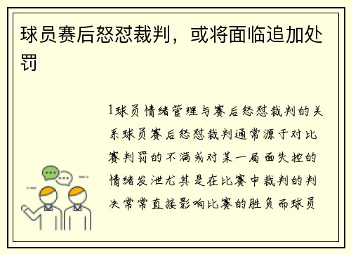 球员赛后怒怼裁判，或将面临追加处罚
